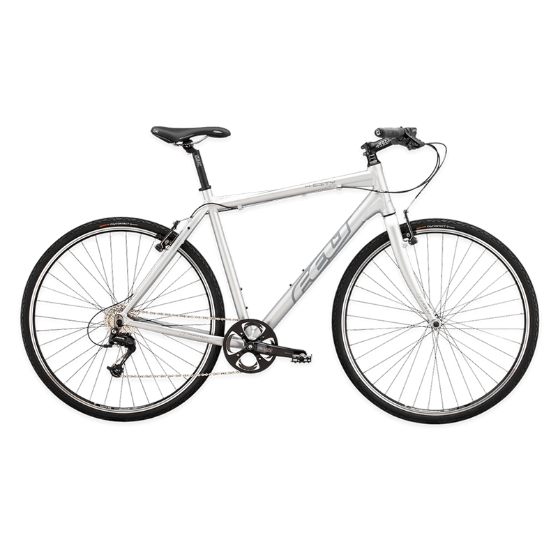 Maximus quam posuere