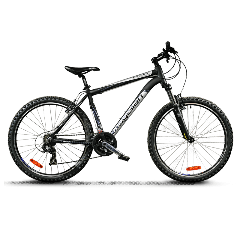 Gravida est quis euismod