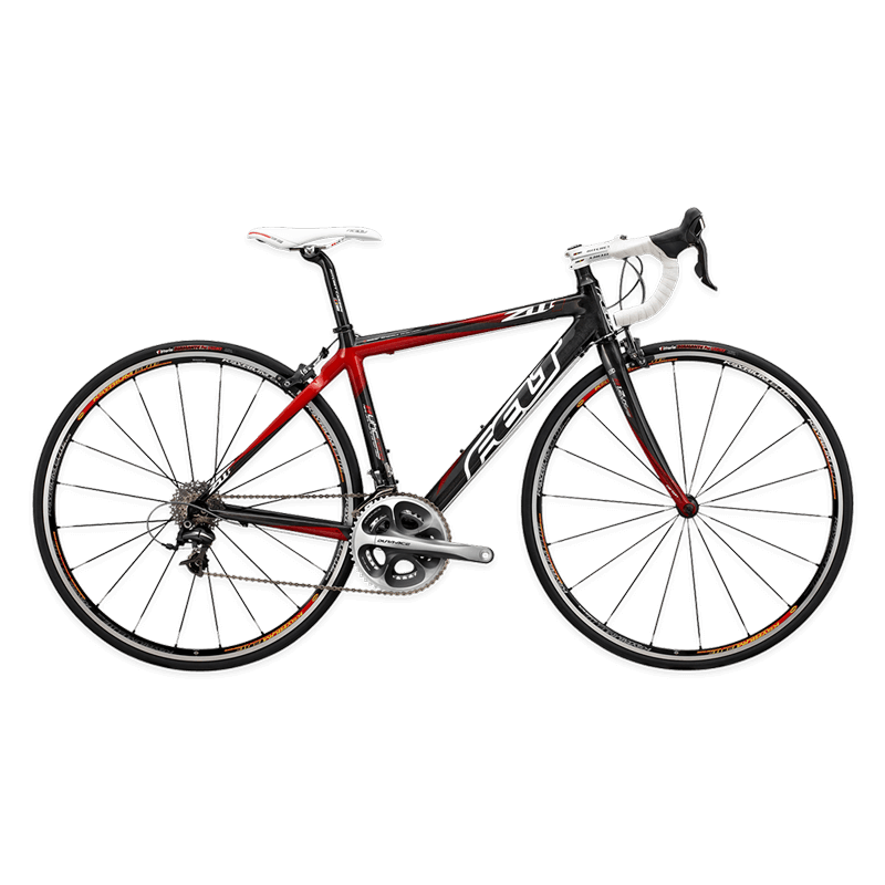 Gravida est quis euismod